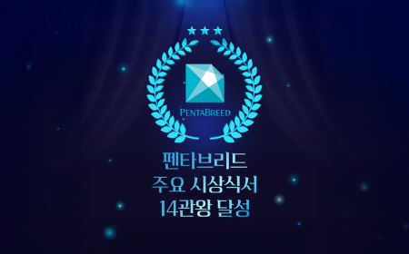 펜타브리드 뉴스 ㅣ 펜타브리드, 2025 주요 디지털·광고 시상식에서 14관왕 달성 미리보기 이미지